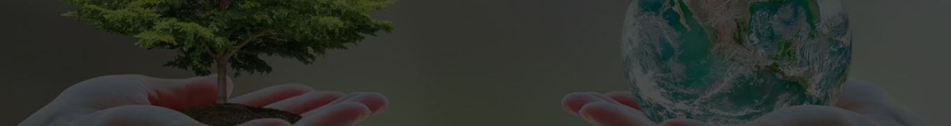 Giới thiệu về New Sun Giới thiệu về New Sun